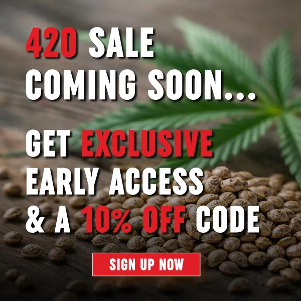 MSNL 420 Signup 2026