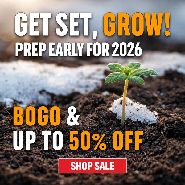 MSNL Late Winter Sale 2026