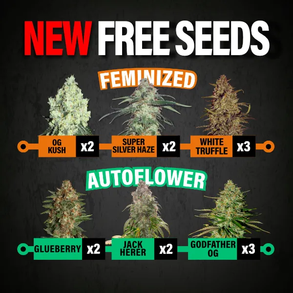 MSNL New Free Seeds March 2026