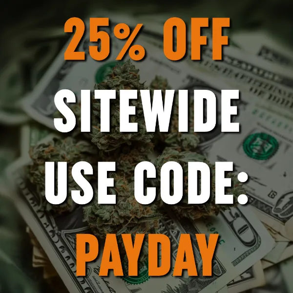 MSNL Payday Sale