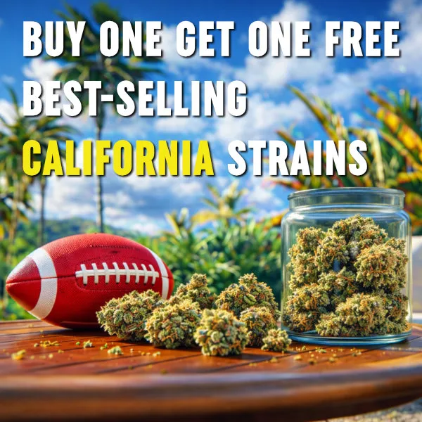 MSNL Super Bowl 2026